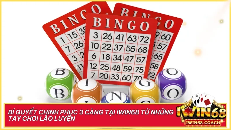 Các cao thủ chia sẻ bí quyết kiểm soát vốn và phân tích cầu số để nâng cao hiệu quả thắng lớn cùng 3 càng.